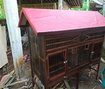 Kandang Ayam Jago 3 Pintu